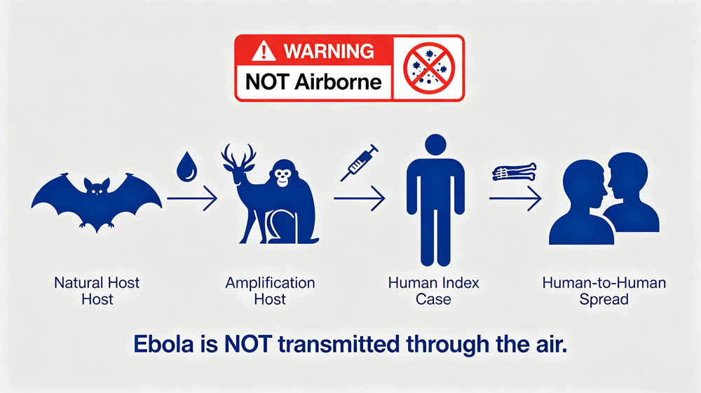 In-depth Science: Ebola Virus — From Structure to Detection: Understanding the Scientific Defenses Against the "Grim Reaper of Africa"