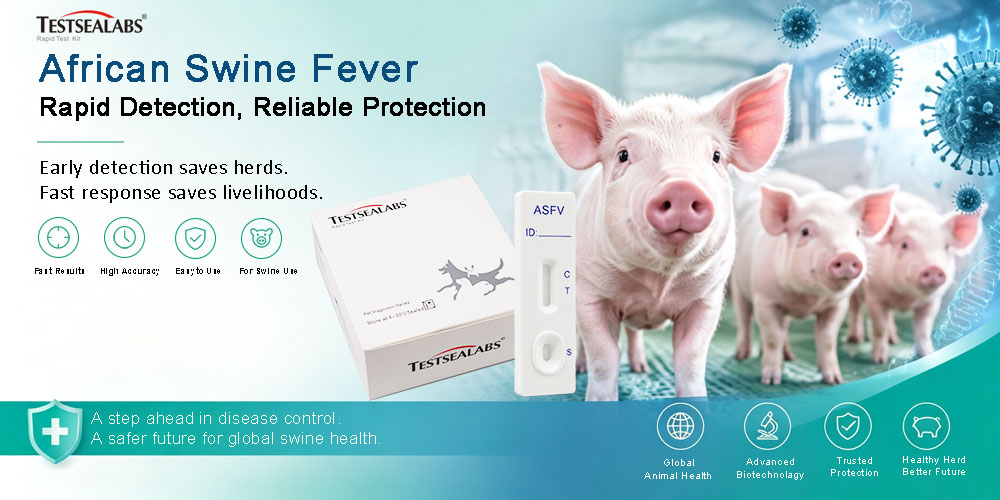 African Swine Fever Virus Antigen Test Cassette
