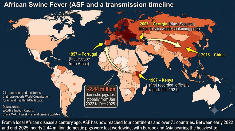 African Swine Fever Virus Antigen Test Cassette