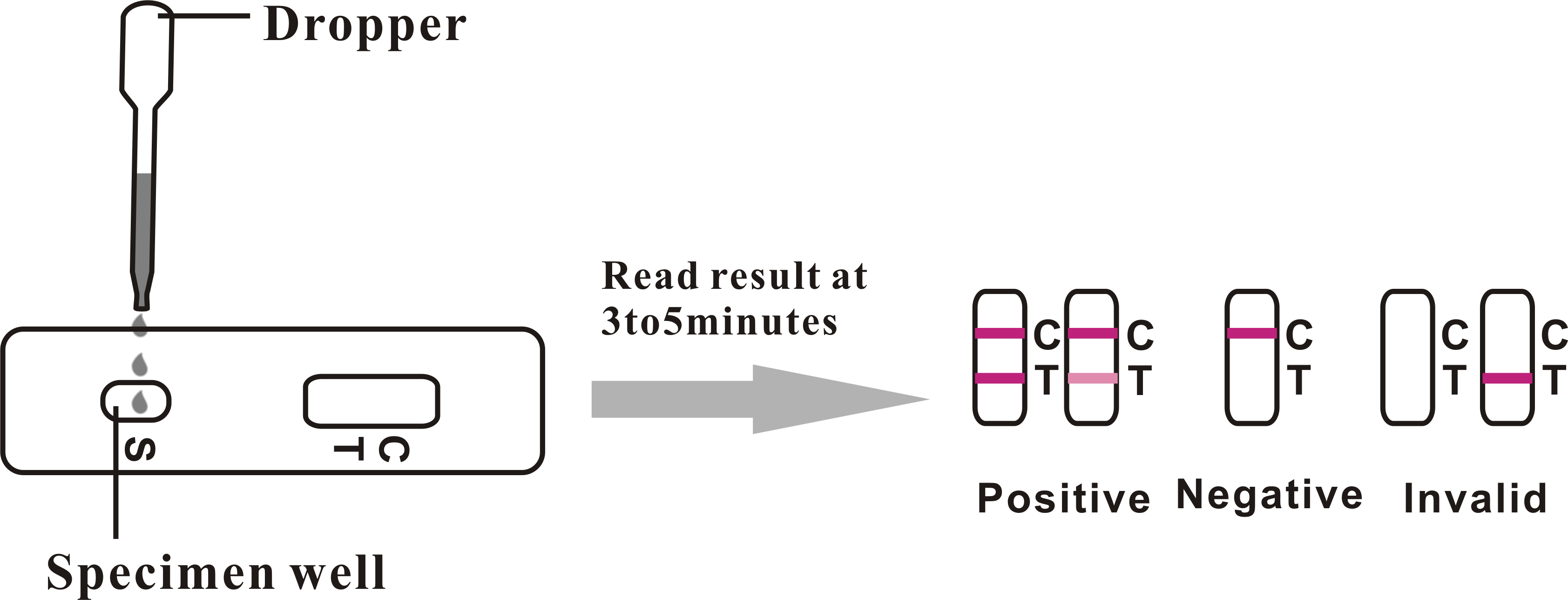 Uitstallinginligting (6)