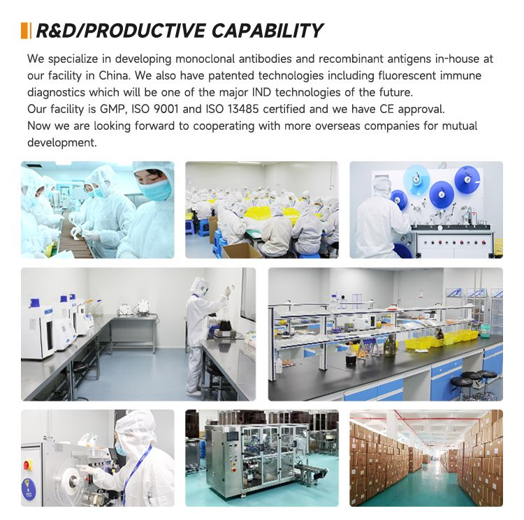 company advantage1