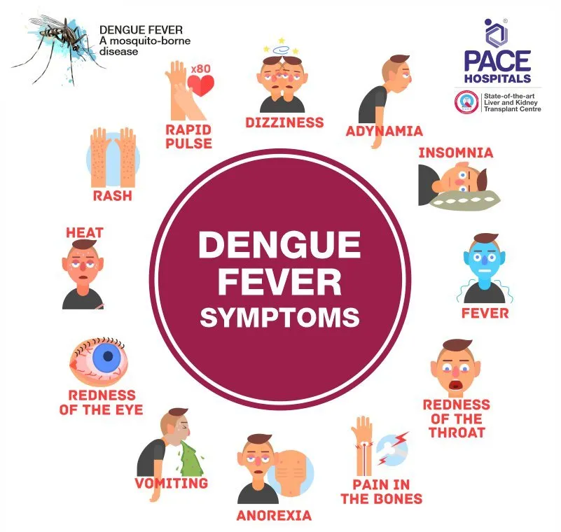 dengue fever